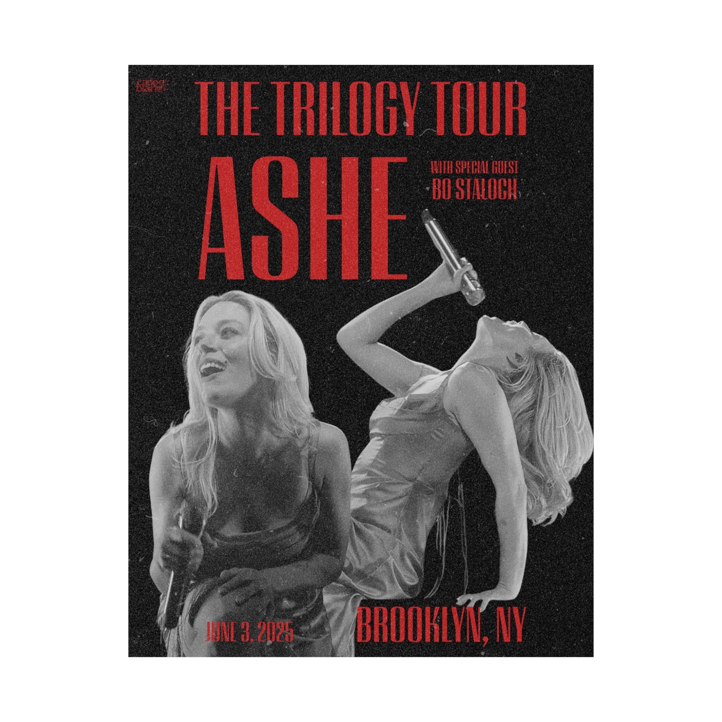 Brooklyn Trilogy Tour Print