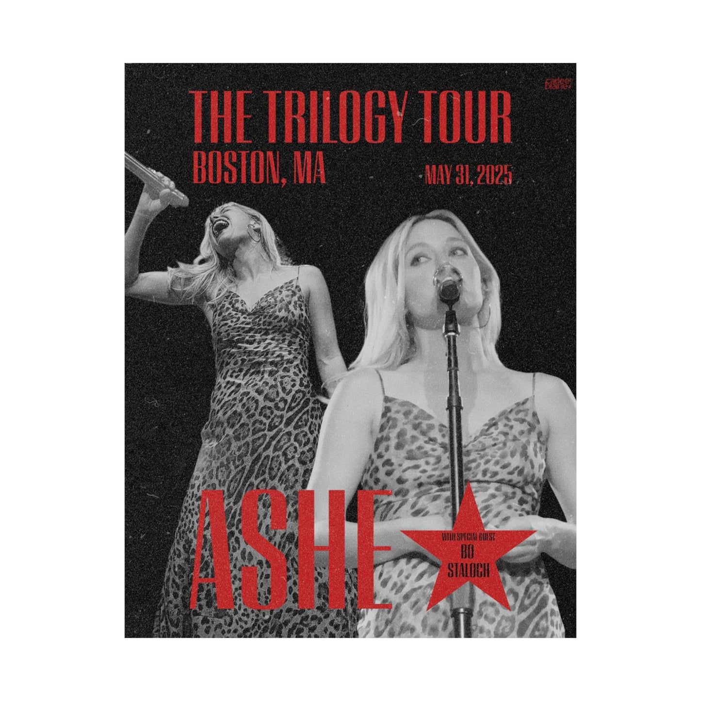 Boston Trilogy Tour Print
